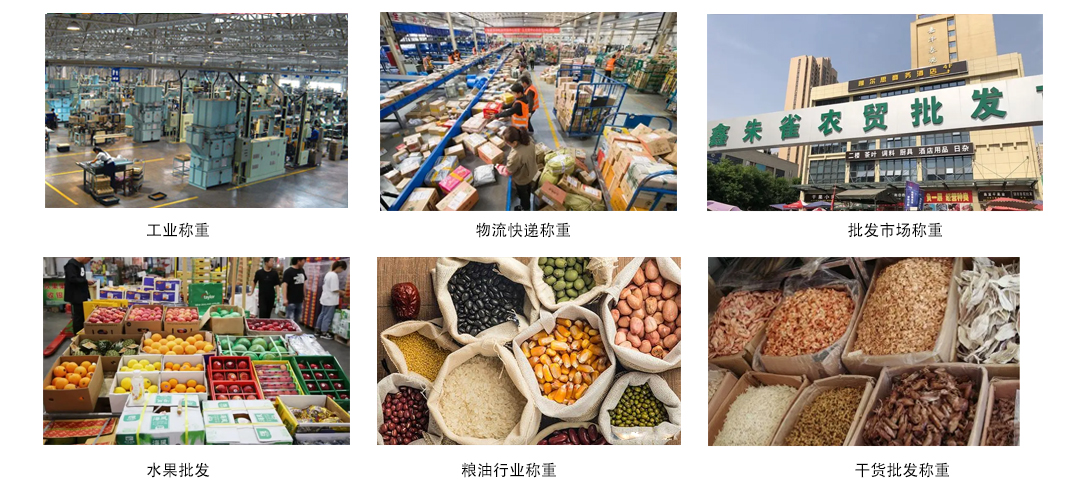 應用領域.jpg